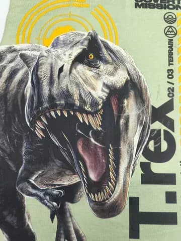 T-rex dinosaur with text printed on light green fabric